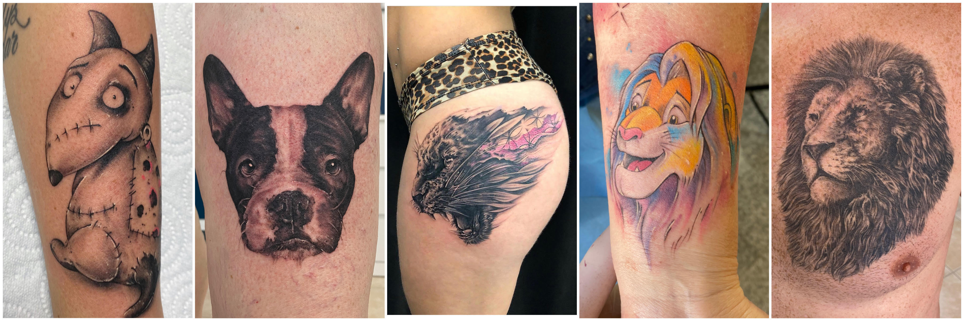 medtattoo, evotattoo